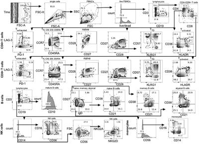 Immune cell phenotype and function patterns across the life course in individuals from rural Uganda